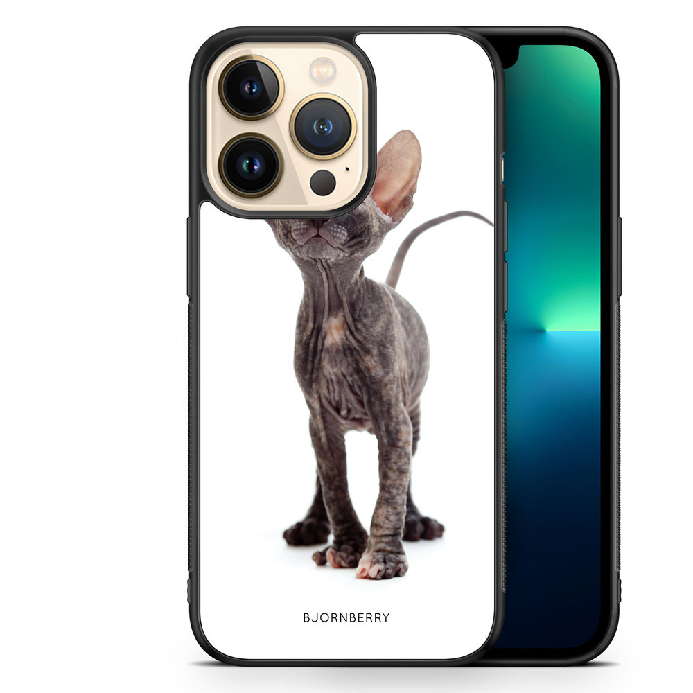 iPhone 13 Pro Case - Hairless Cat