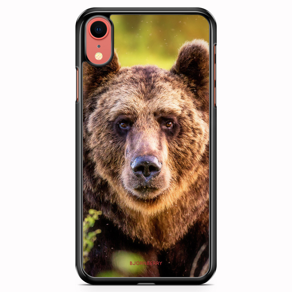 iPhone XR Case - Looking Bear