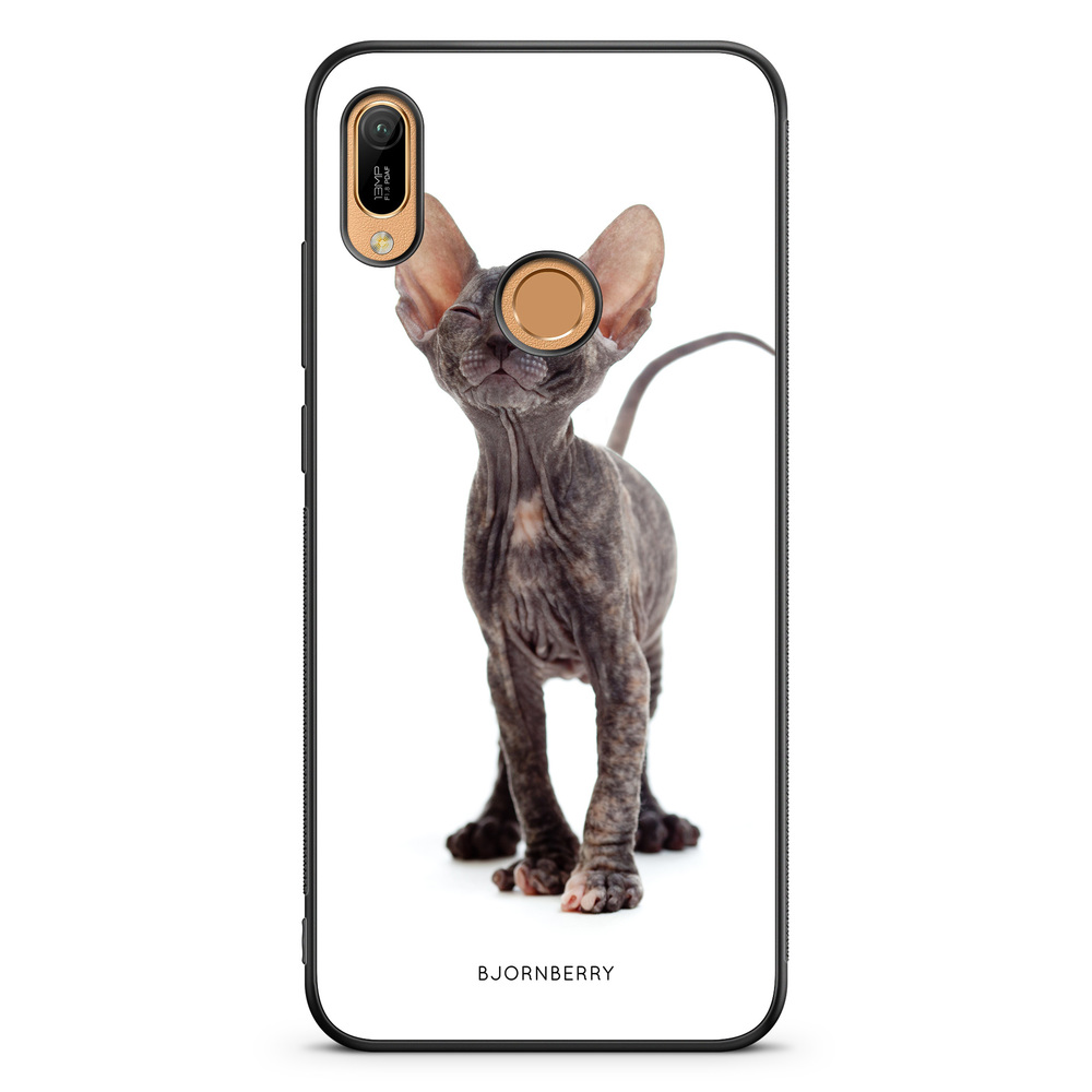 Huawei Y6 2019 Case - Hairless Cat