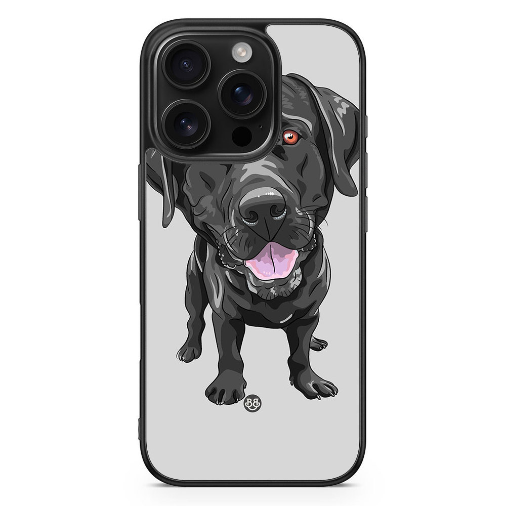 iPhone 16 Pro Case - Labrador