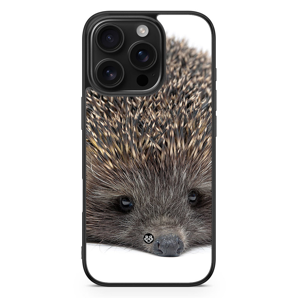 iPhone 16 Pro Case - Hedgehog