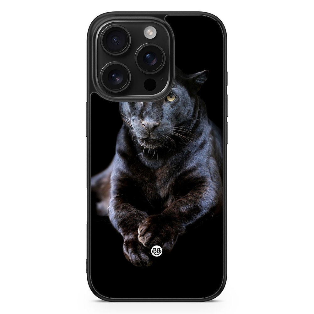 iPhone 16 Pro Case - Black Panther