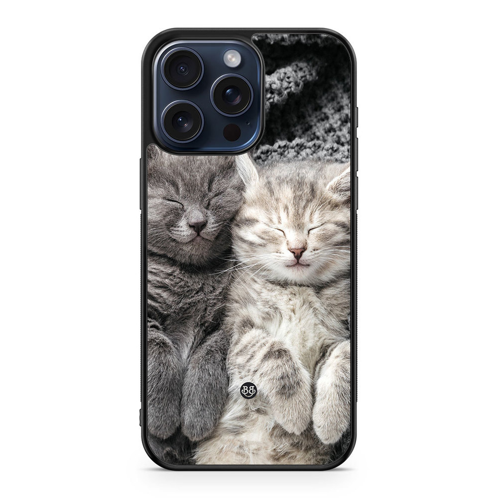 iPhone 15 Pro Max Case - Resting Cats