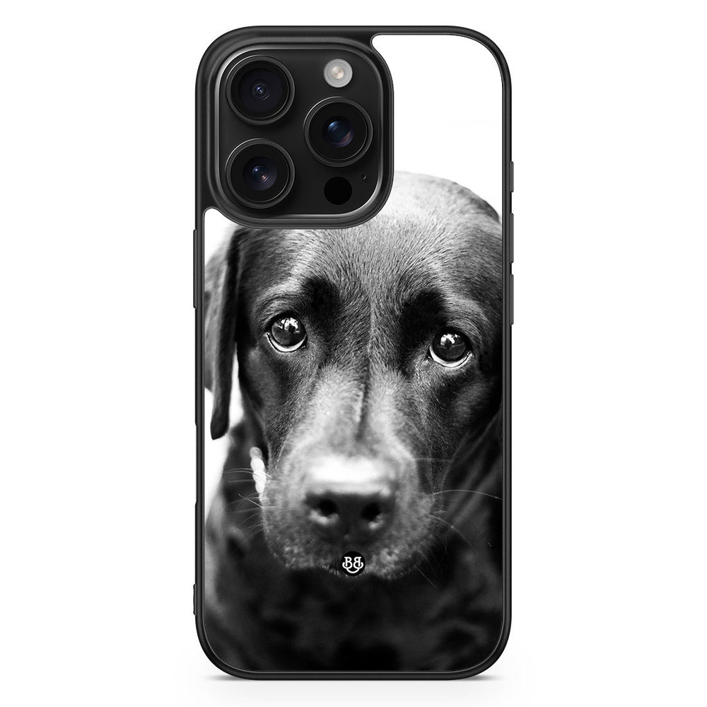 iPhone 16 Pro Skal - Valpögon