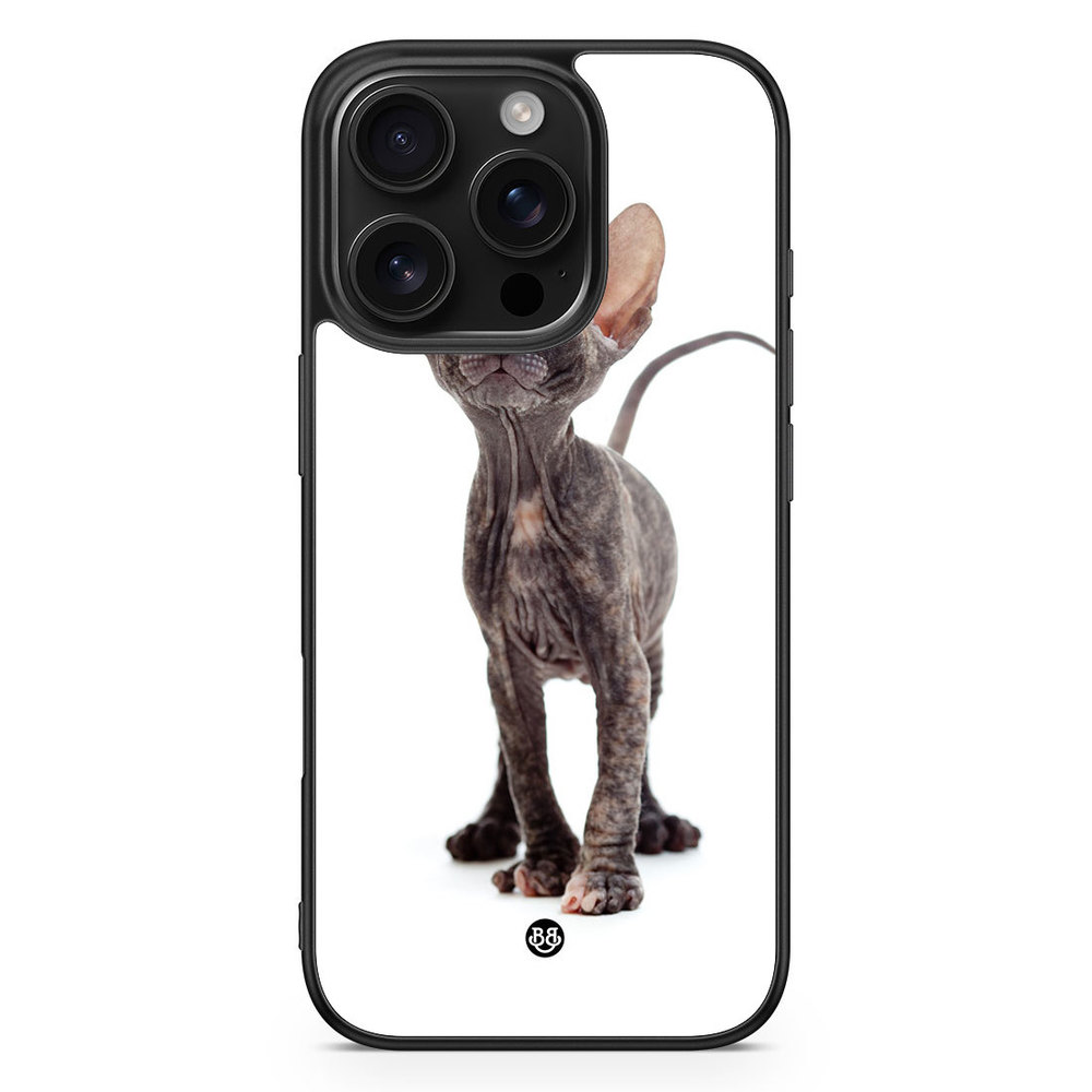 iPhone 16 Pro Case - Hairless Cat