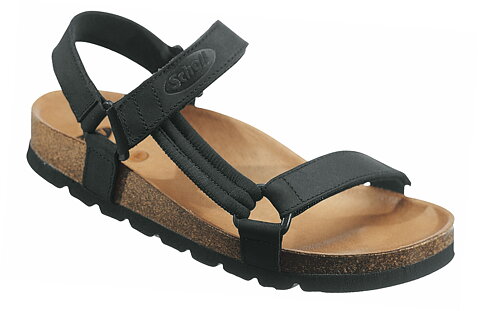 Scholl