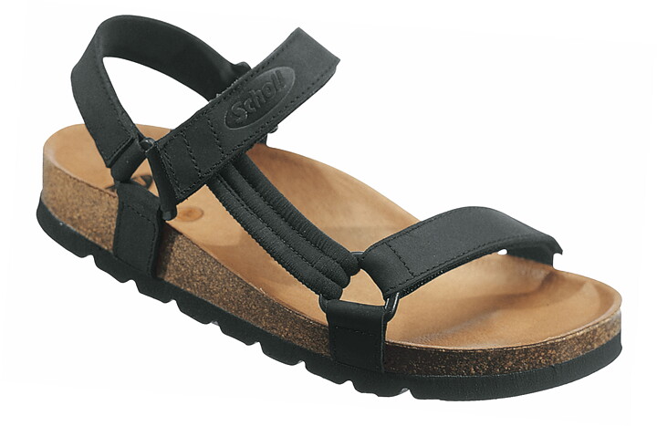 Scholl