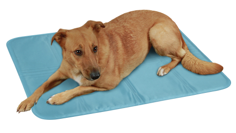 Kyl dyna Cool Pad 50 x 40 Cool Relax