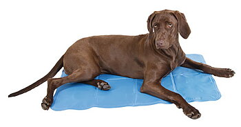 Kyl dyna Cool Pad 60 x 90 Cool Relax