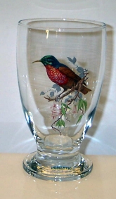 Fågel Glas, Allglas 34 cl. Paradisfågel 5