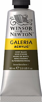 331  Galeria 60ml Ivory Black