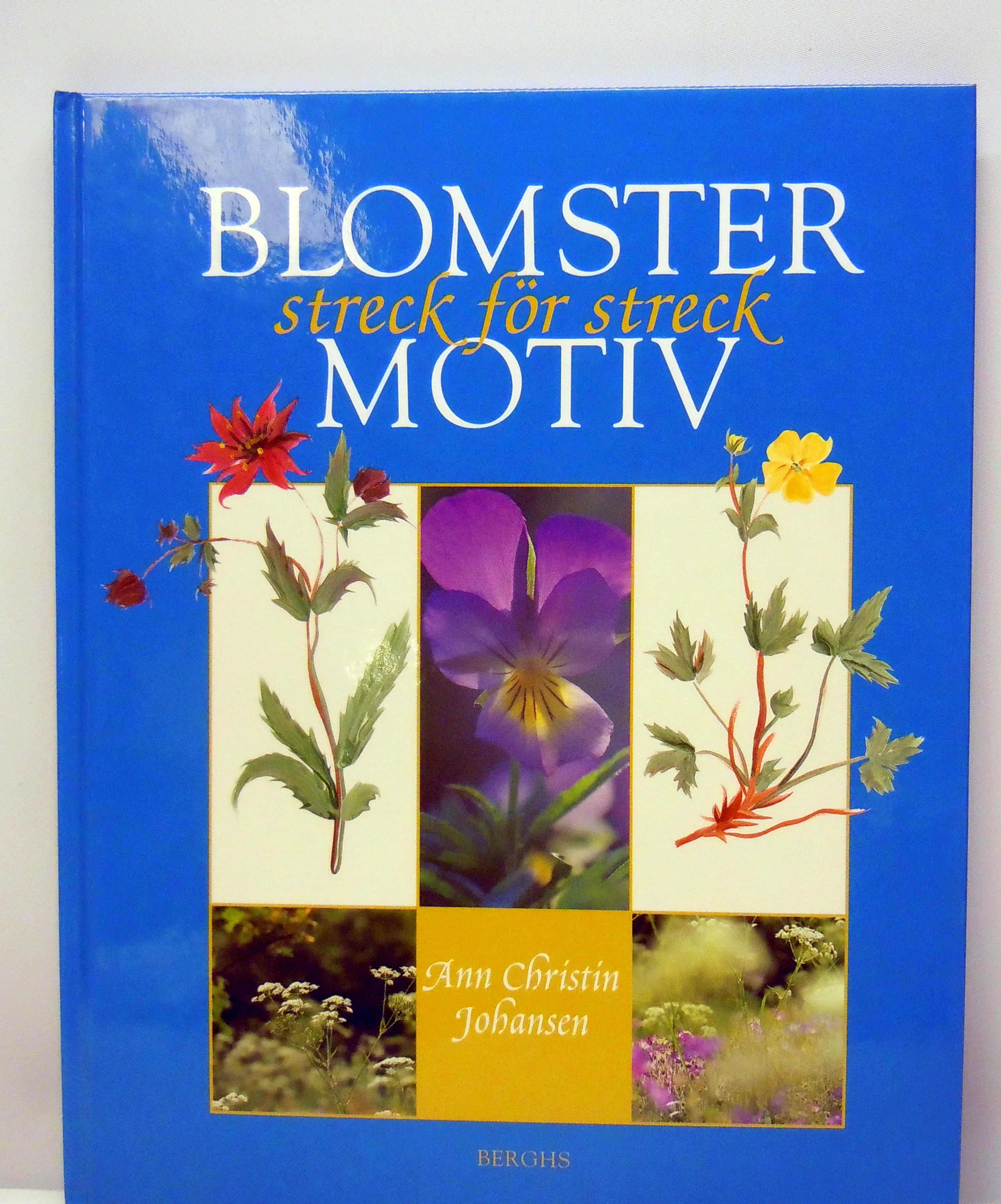 BLOMSTER streck för streck MOTIV