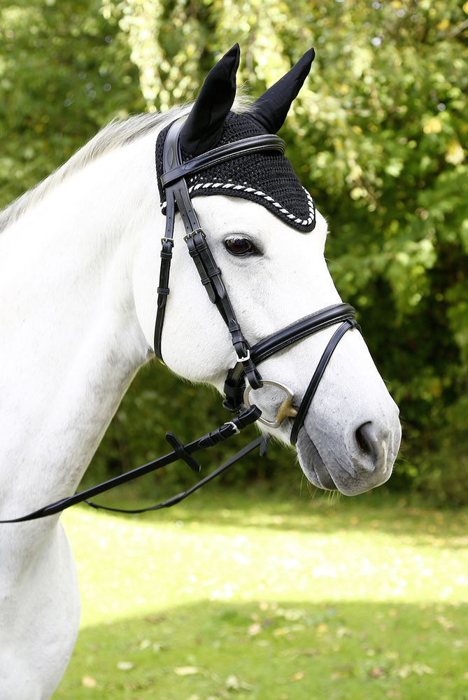 Covalliero Classic Öronluva Svart - 2