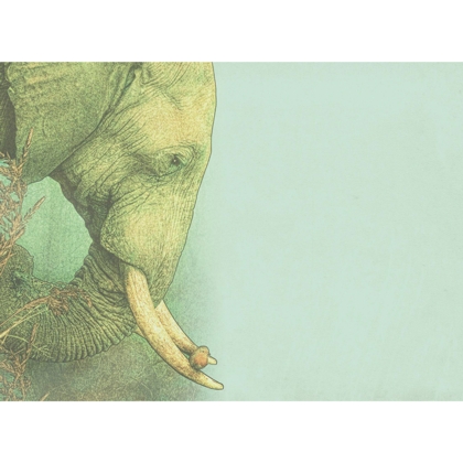 Gratulationskort Elefant &  kuvert - 3