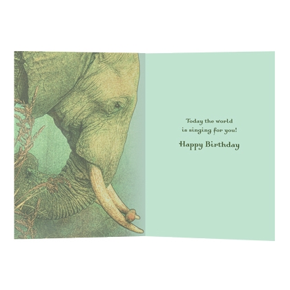 Gratulationskort Elefant &  kuvert - 2