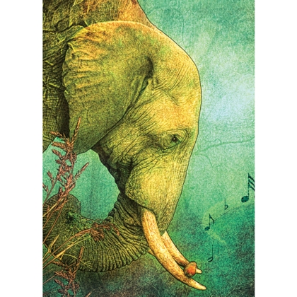 Gratulationskort Elefant &  kuvert