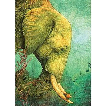 Gratulationskort Elefant &  kuvert