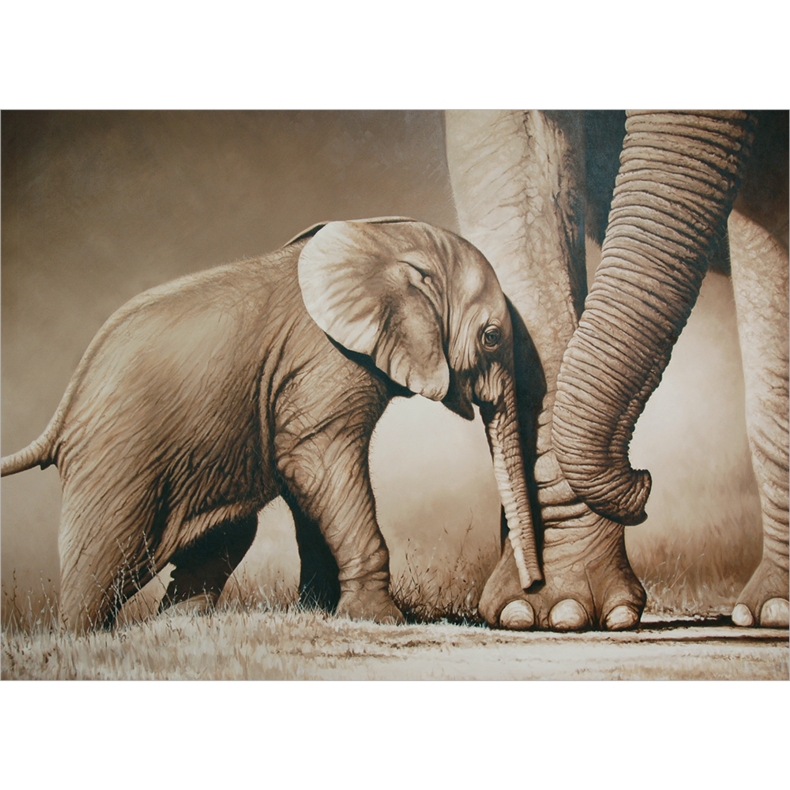 Gratulationskort Elefant baby
