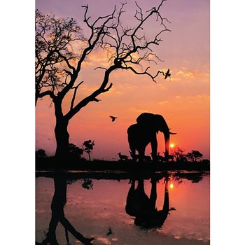 Gratulationskort Elefant i Siluett