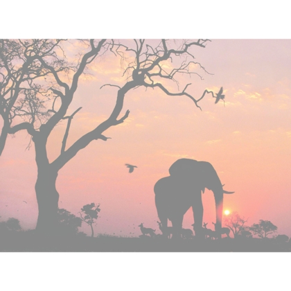 Gratulationskort Elefant i Siluett - 3