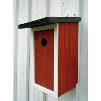 Fågelholk röd/vit/svart