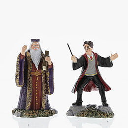 Harry & THE Headmaster, Set of 2