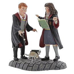 Harry Potter, WINGARDIUM LEVIOSA!