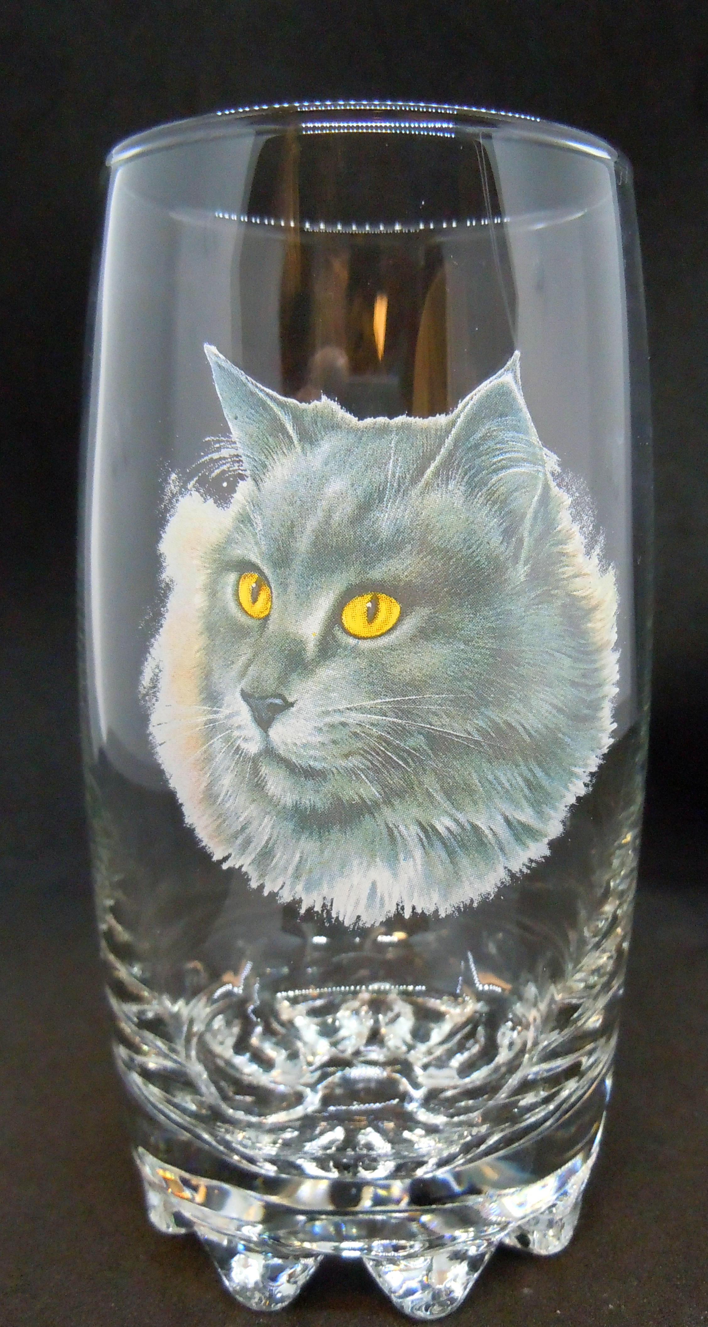 Katt Glas, Galassia Long Drink Katt Nr 1