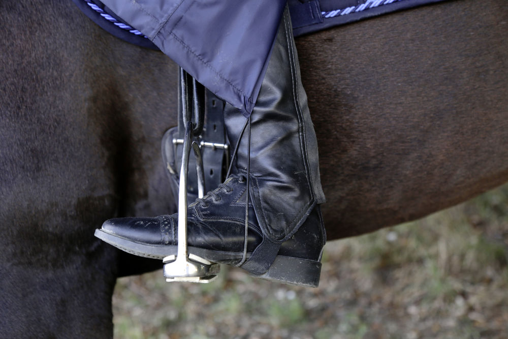 Regnponcho Covalliero - 3