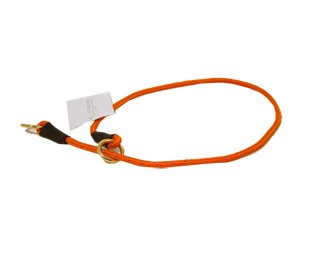 Petcare Dressyrhalsband Orange