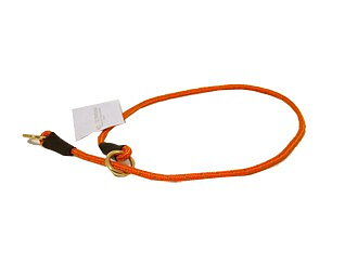 Petcare Dressyrhalsband Orange