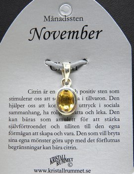 Månadssten November