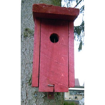 Fågelholk Rödlaserad