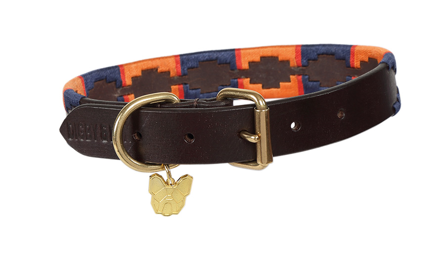 Shires Digby & Fox Drover Halsband
