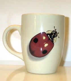 Mugg med Nyckelpigor - 2