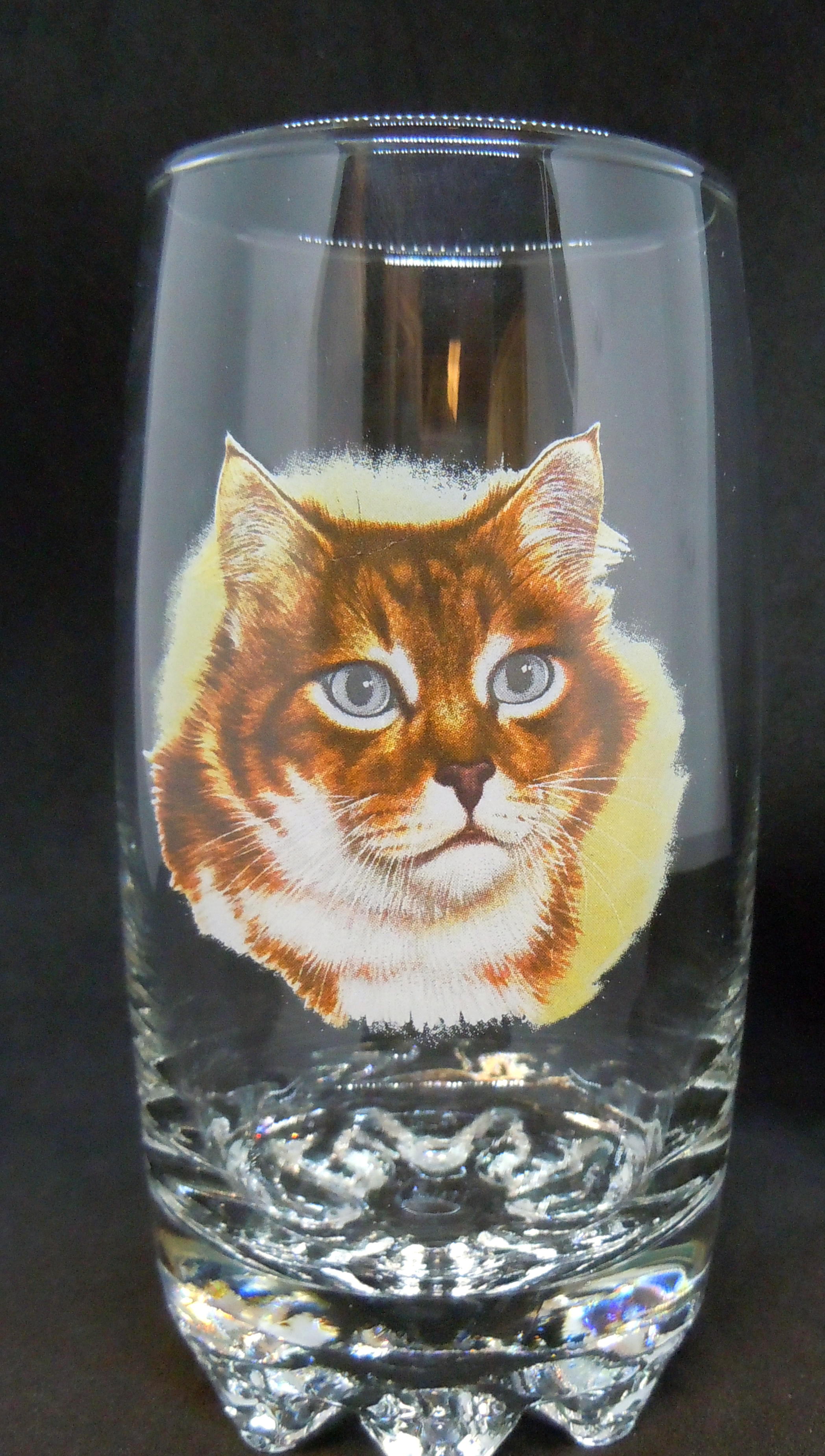 Katt Glas, Galassia Long Drink Katt Nr 2