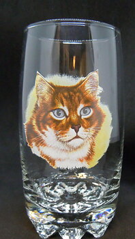 Katt Glas, Galassia Long Drink Katt Nr 2