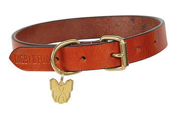 Shires Digby & Fox Läderhalsband