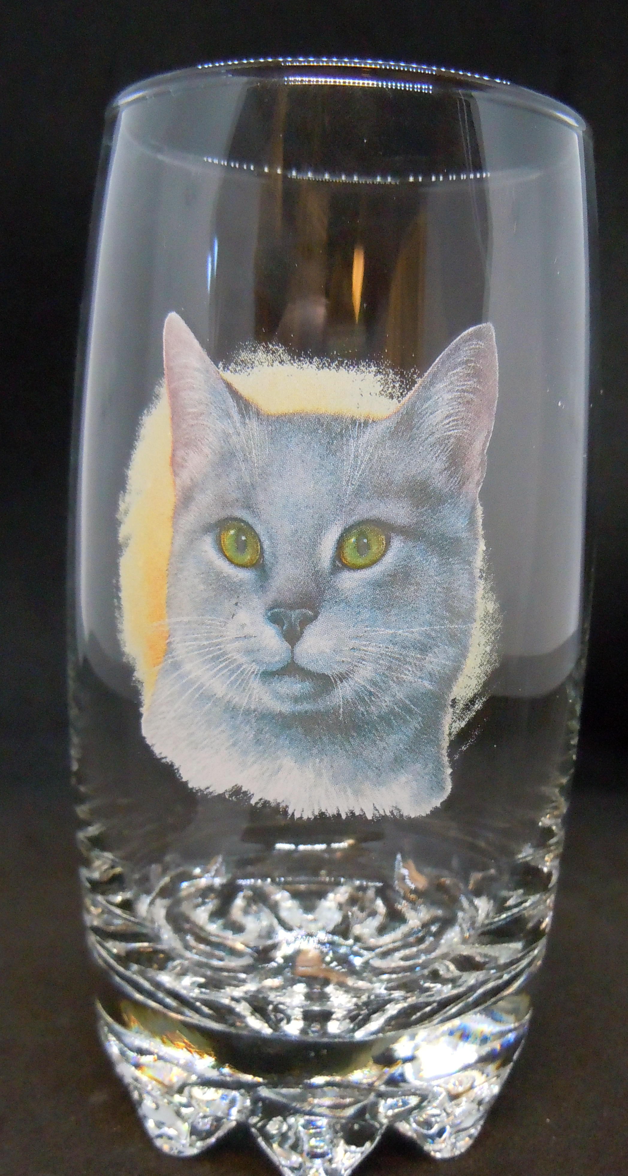 Katt Glas, Galassia Long Drink Katt Nr 4