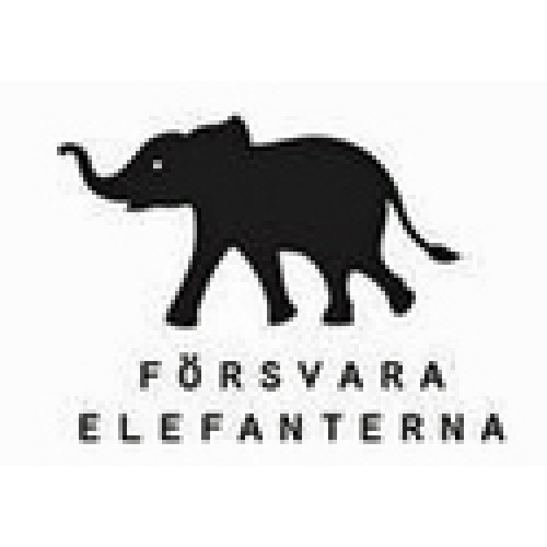 T-shirt Dam, T-shirt i dammodell. V-ringad och figurskuren. - 2