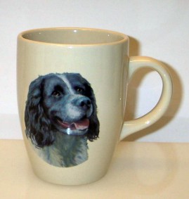 Mugg hundar, Springer Spaniel