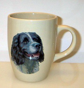 Mugg hundar, Springer Spaniel