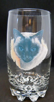 Katt Glas, Galassia Long Drink Katt Nr 6
