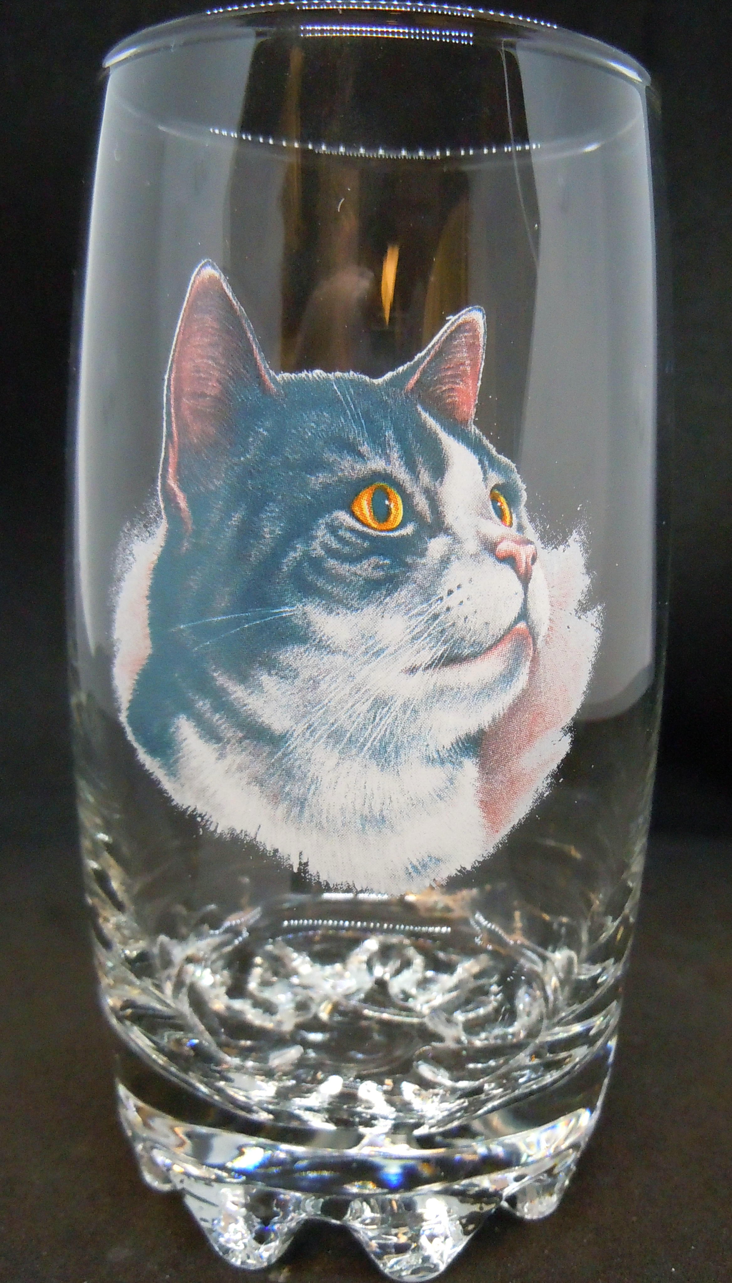 Katt Glas, Galassia Long Drink Katt Nr 3