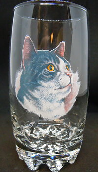 Katt Glas, Galassia Long Drink Katt Nr 3