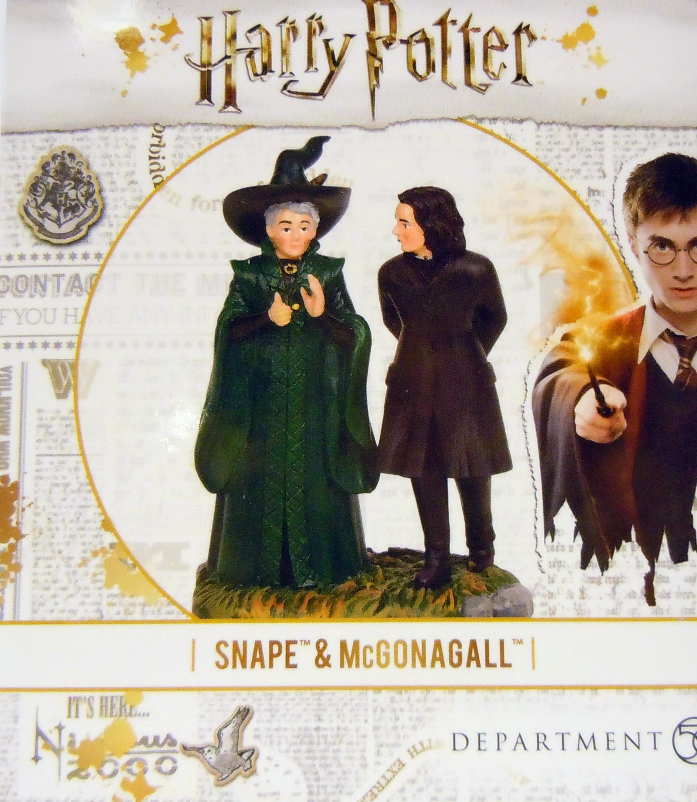 Harry Potter, Professor Snape & Professor - 5