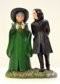 Harry Potter, Professor Snape & Professor