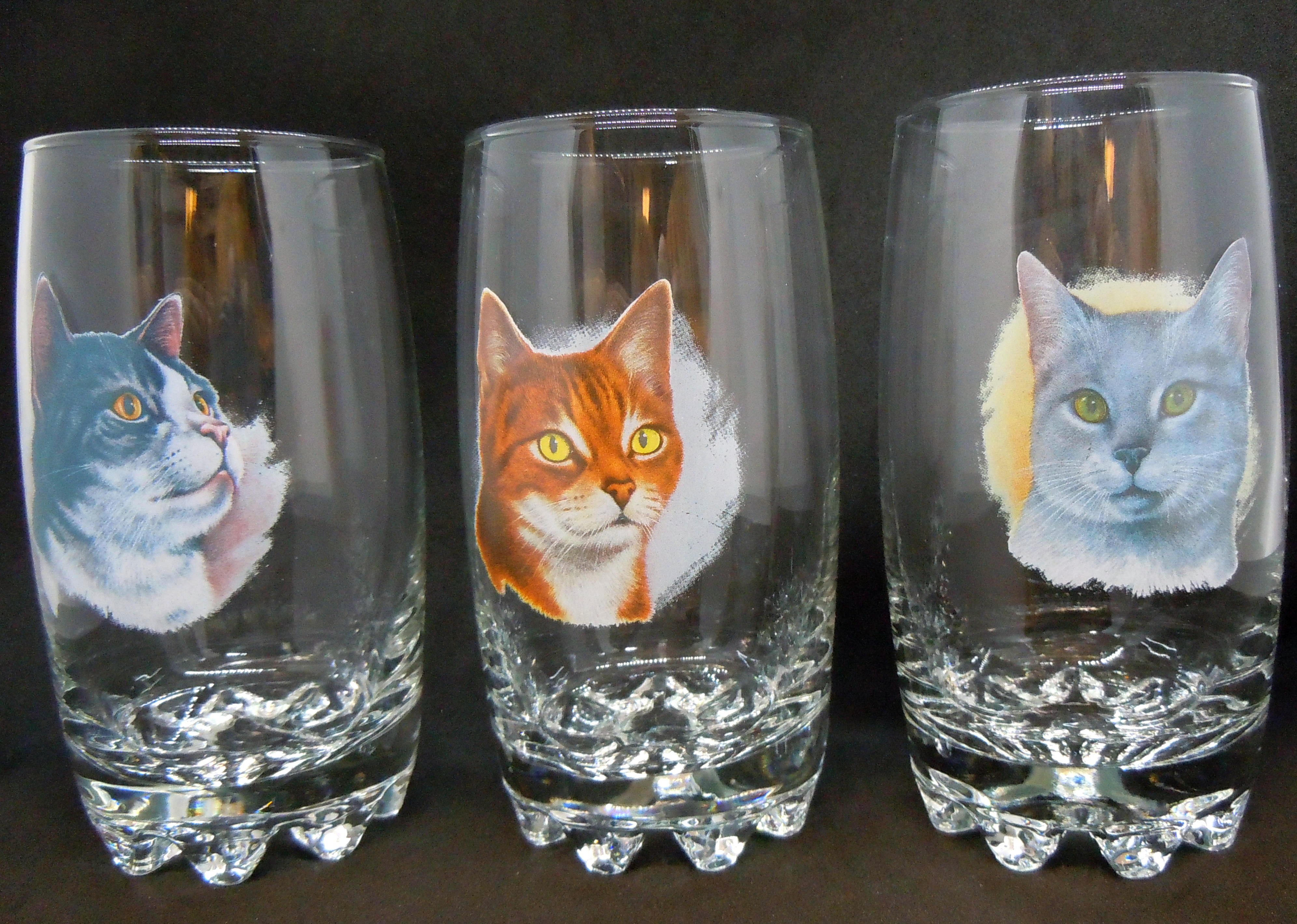 Katt Glas, Galassia Long Drink Katt Nr 3, 4 och 5