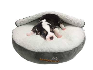 SnuggleSafe Hundbädd med värmeplatta - 2