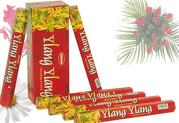 Krishan Ylang Ylang